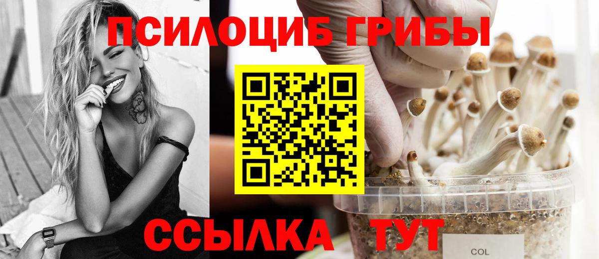 Галлюциногенные грибы мицелий Саянск